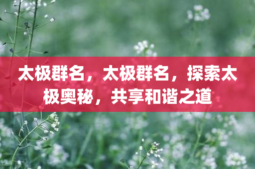 chenhaoqian 第111页
