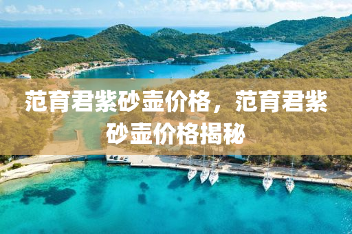 范育君紫砂壶价格，范育君紫砂壶价格揭秘