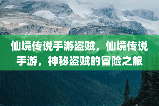 仙境传说手游盗贼，仙境传说手游，神秘盗贼的冒险之旅