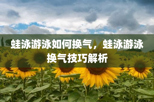 蛙泳游泳如何换气，蛙泳游泳换气技巧解析