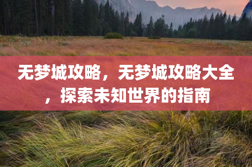 无梦城攻略，无梦城攻略大全，探索未知世界的指南