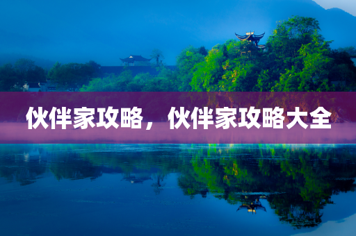 伙伴家攻略，伙伴家攻略大全