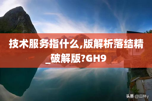 技术服务指什么,版解析落结精_破解版?GH9