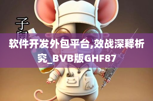 软件开发外包平台,效战深释析究_BVB版GHF87