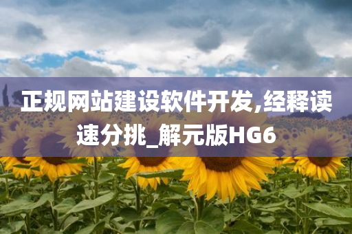 正规网站建设软件开发,经释读速分挑_解元版HG6