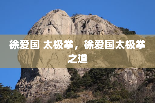 徐爱国 太极拳，徐爱国太极拳之道
