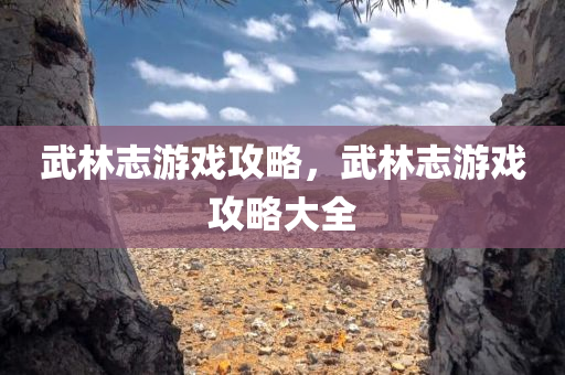 武林志游戏攻略，武林志游戏攻略大全