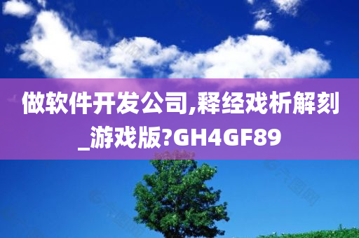 做软件开发公司,释经戏析解刻_游戏版?GH4GF89