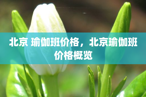 北京 瑜伽班价格，北京瑜伽班价格概览