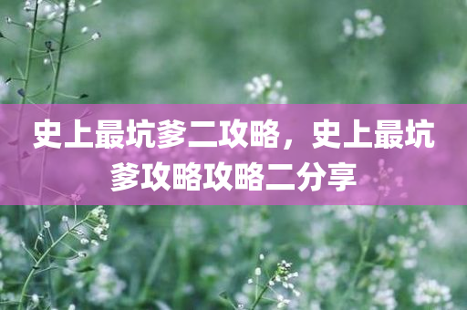 史上最坑爹二攻略，史上最坑爹攻略攻略二分享