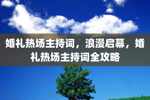 婚礼热场主持词，浪漫启幕，婚礼热场主持词全攻略