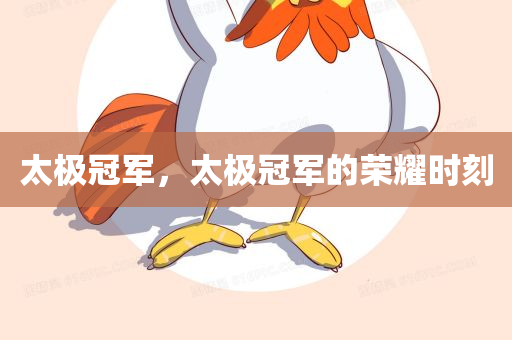 太极冠军，太极冠军的荣耀时刻