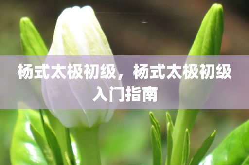 杨式太极初级，杨式太极初级入门指南