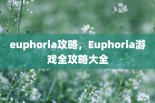 euphoria攻略，Euphoria游戏全攻略大全