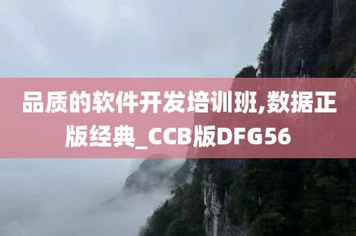 品质的软件开发培训班,数据正版经典_CCB版DFG56