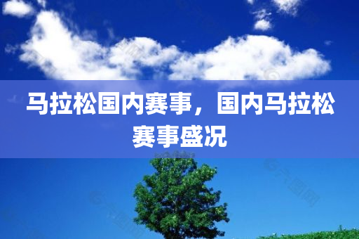 马拉松国内赛事，国内马拉松赛事盛况