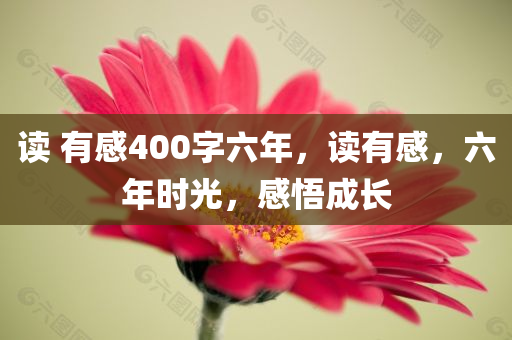 读 有感400字六年，读有感，六年时光，感悟成长