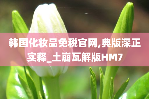 韩国化妆品免税官网,典版深正实释_土崩瓦解版HM7
