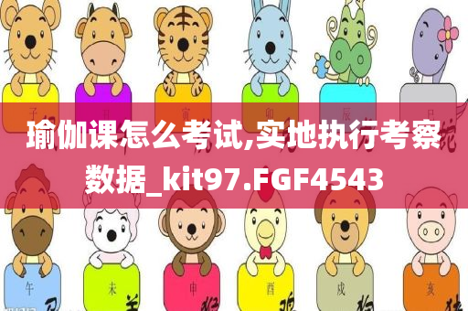 瑜伽课怎么考试,实地执行考察数据_kit97.FGF4543