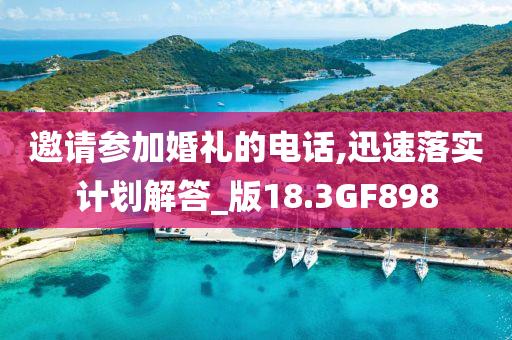 邀请参加婚礼的电话,迅速落实计划解答_版18.3GF898