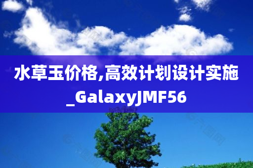 水草玉价格,高效计划设计实施_GalaxyJMF56
