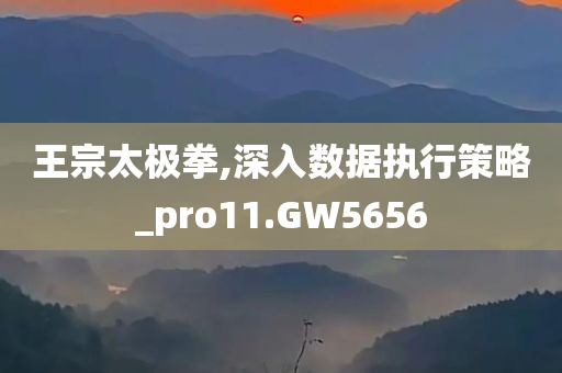 王宗太极拳,深入数据执行策略_pro11.GW5656