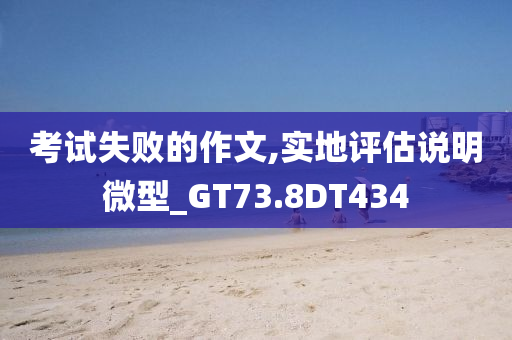 考试失败的作文,实地评估说明微型_GT73.8DT434