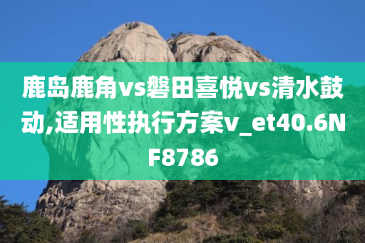鹿岛鹿角vs磐田喜悦vs清水鼓动,适用性执行方案v_et40.6NF8786