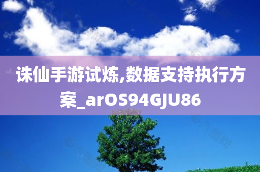 诛仙手游试炼,数据支持执行方案_arOS94GJU86