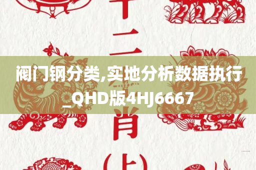 阀门钢分类,实地分析数据执行_QHD版4HJ6667