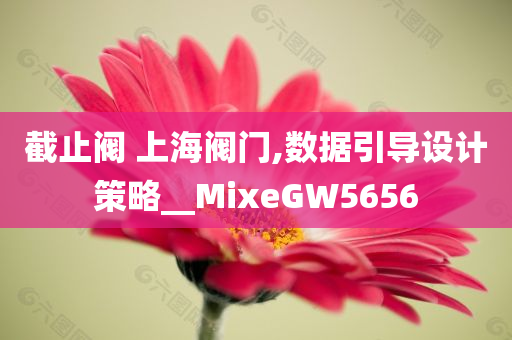 截止阀 上海阀门,数据引导设计策略__MixeGW5656