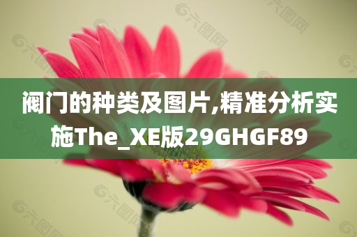 阀门的种类及图片,精准分析实施The_XE版29GHGF89