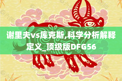 谢里夫vs库克斯,科学分析解释定义_顶级版DFG56