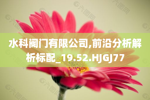 水科阀门有限公司,前沿分析解析标配_19.52.HJGJ77