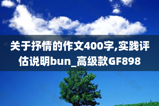 关于抒情的作文400字,实践评估说明bun_高级款GF898