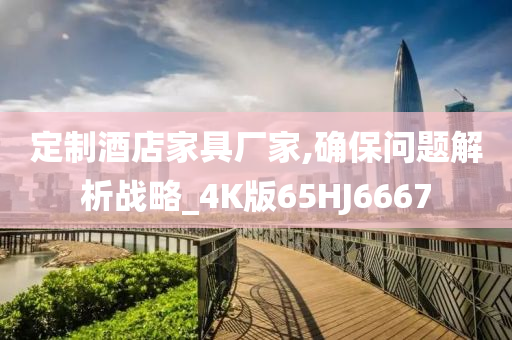 定制酒店家具厂家,确保问题解析战略_4K版65HJ6667
