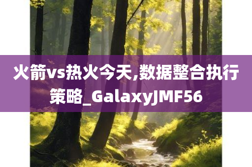 火箭vs热火今天,数据整合执行策略_GalaxyJMF56