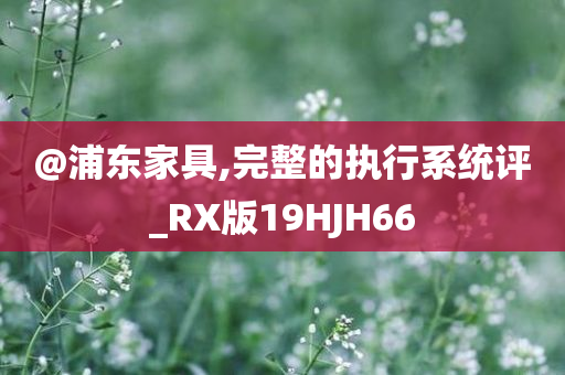 @浦东家具,完整的执行系统评_RX版19HJH66