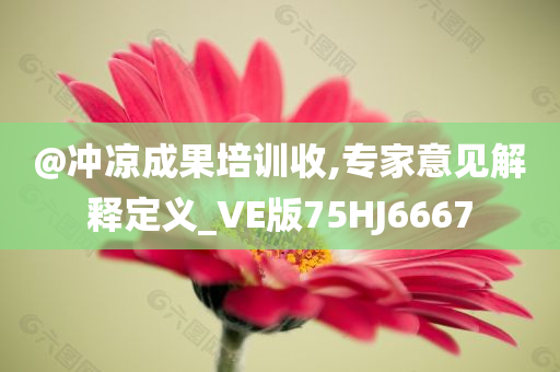@冲凉成果培训收,专家意见解释定义_VE版75HJ6667