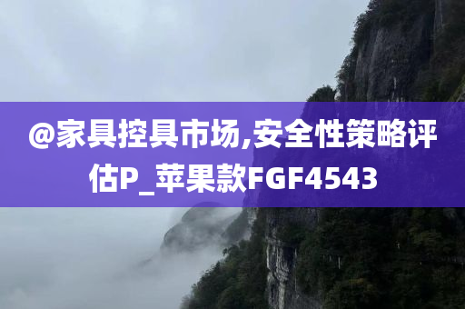 @家具控具市场,安全性策略评估P_苹果款FGF4543