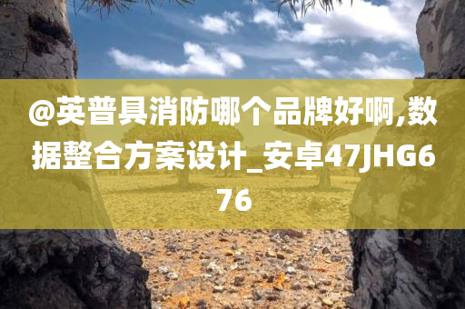 @英普具消防哪个品牌好啊,数据整合方案设计_安卓47JHG676