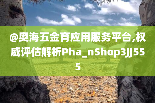 @奥海五金育应用服务平台,权威评估解析Pha_nShop3JJ555