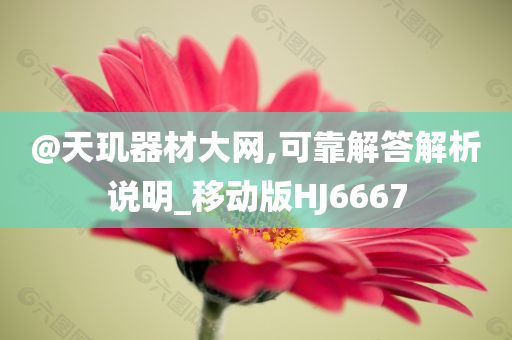 @天玑器材大网,可靠解答解析说明_移动版HJ6667