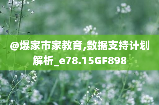@爆家市家教育,数据支持计划解析_e78.15GF898