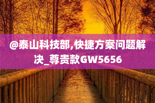 @泰山科技部,快捷方案问题解决_尊贵款GW5656