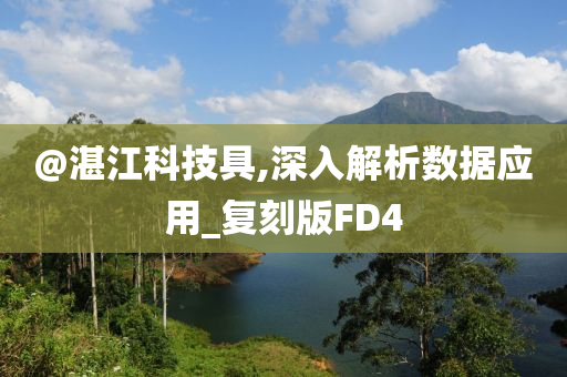 @湛江科技具,深入解析数据应用_复刻版FD4