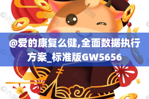 @爱的康复么健,全面数据执行方案_标准版GW5656