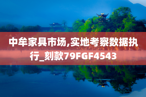 中牟家具市场,实地考察数据执行_刻款79FGF4543