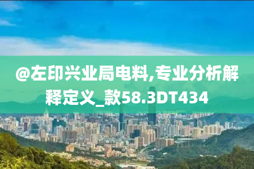 @左印兴业局电料,专业分析解释定义_款58.3DT434