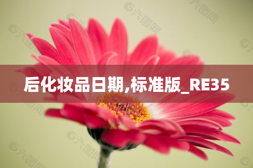 后化妆品日期,标准版_RE35